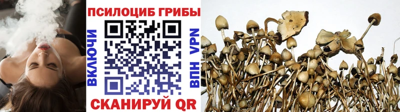Галлюциногенные грибы Psilocybine cubensis Гурьевск